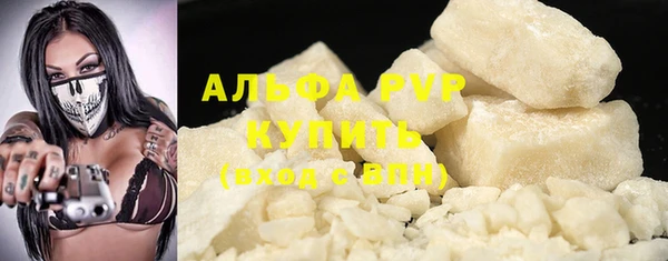 PSILOCYBIN Верхний Тагил