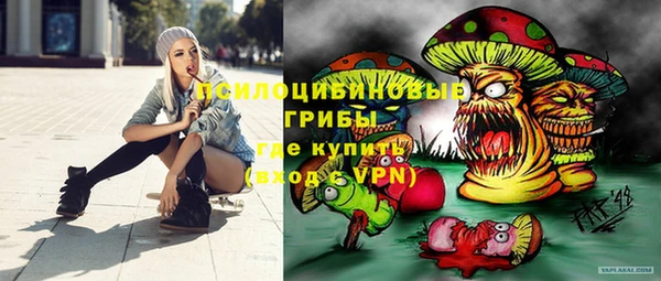 PSILOCYBIN Верхний Тагил