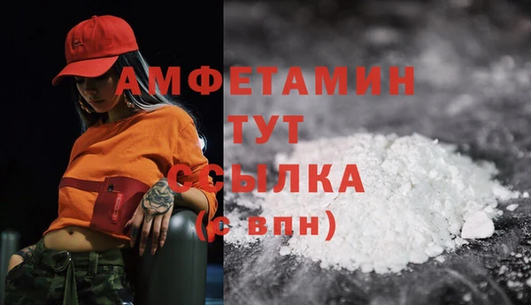 PSILOCYBIN Верхний Тагил
