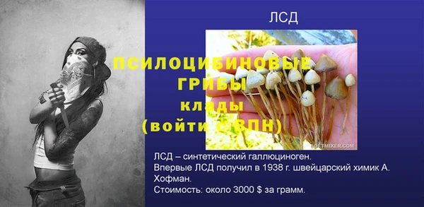 PSILOCYBIN Верхний Тагил