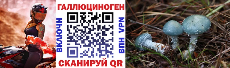 Псилоцибиновые грибы Psilocybe  дарк нет Telegram  Электросталь 