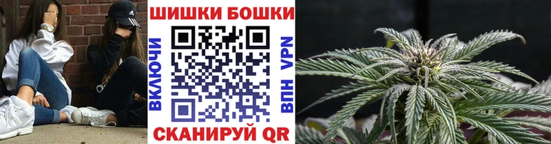 как найти закладки  Электросталь  Шишки марихуана White Widow 